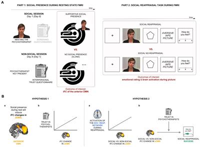 Social reappraisal of emotions is linked with the social presence effect in the default mode network